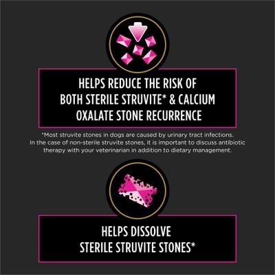 UR Urinary Ox/St Wet Dog Food, 13.3-oz, case of 12