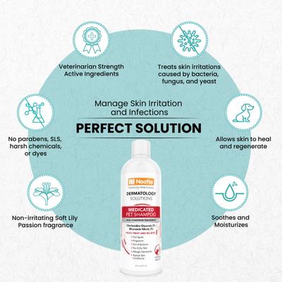 Medicated Dog & Cat Shampoo, 16-fl oz bottle