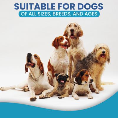 Allergy & Immune Itch Relief Soft Chew Supplement for Dogs, 60 count