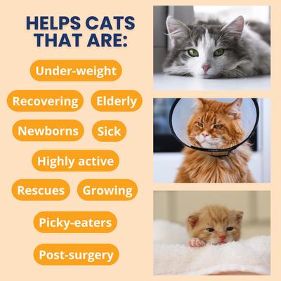 Ready Cal High Calorie Powder Supplement for Cats, 5.29-oz jar