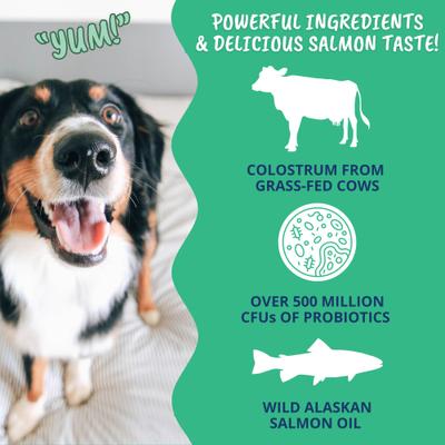 Vital Colostrum Squeezable Dogs Supplement Gel for Dogs, 3.5-oz tube