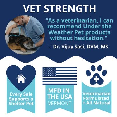 Allergy & Itch Soft Chew Supplement for Dogs, 4.23-oz jar