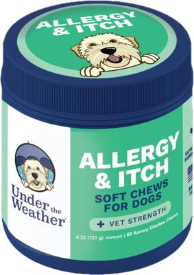 Allergy & Itch Soft Chew Supplement for Dogs, 4.23-oz jar