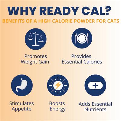 Ready Cal High Calorie Powder Supplement for Cats, 5.29-oz jar