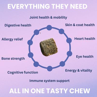 Multivitamin Soft Chew Supplement for Dogs, 4.23-oz jar