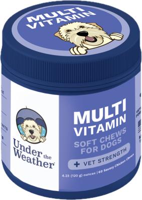 Multivitamin Soft Chew Supplement for Dogs, 4.23-oz jar