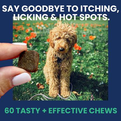 Allergy & Itch Soft Chew Supplement for Dogs, 4.23-oz jar