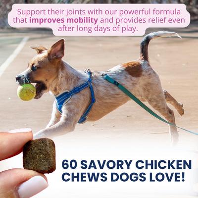 Hip & Joint Soft Chew Supplement for Dogs, 4.23-oz jar