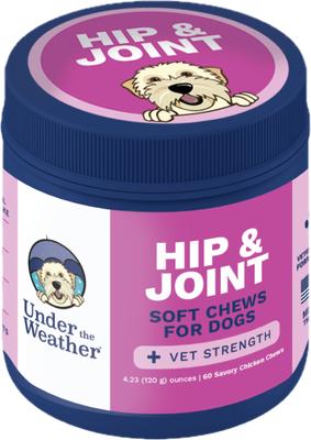 Hip & Joint Soft Chew Supplement for Dogs, 4.23-oz jar