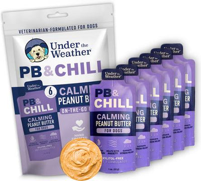 PB & Chill Peanut Butter Calming Gel Supplement for Dogs, 1-oz pouch, case of 6