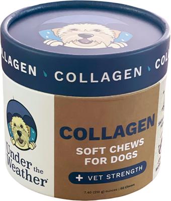 Collagen Soft Chew Supplement for Dogs, 8.82-oz jar