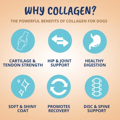 Collagen Soft Chew Supplement for Dogs, 8.82-oz jar