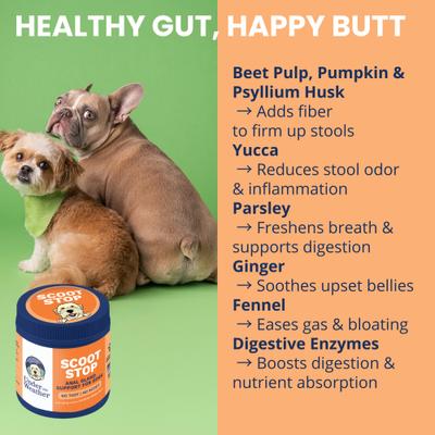 No Scoot No Toot Digestive Aid Soft Chew Supplement for Dogs, 60 count