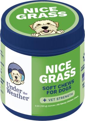 Nice Grass Urine Neutralizer Soft Chew Supplement for Dogs, 60 count