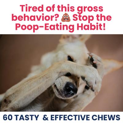 Poop Eating Deterrent Coprophagia Soft Chew Supplement for Dogs, 4.23-oz jar