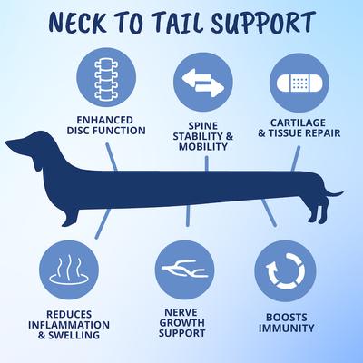 Disc & Spine Soft Chew Supplement for Dogs, 8.82-oz jar