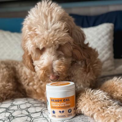 Ready Cal High Calorie Powder Supplement for Dogs, 10.58-oz jar
