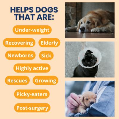 Ready Cal High Calorie Powder Supplement for Dogs, 10.58-oz jar