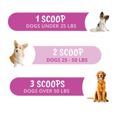 Hip & Joint Powder Supplement for Dogs, 4.23-oz jar