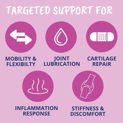 Hip & Joint Powder Supplement for Dogs, 4.23-oz jar