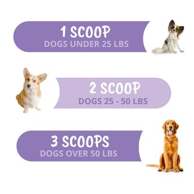 Calming Powder Supplement for Dogs, 4.23-oz jar