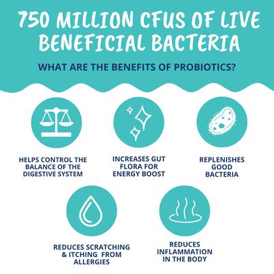 Probiotic Digestive Aid Powder Supplement for Dogs, 4.23-oz jar