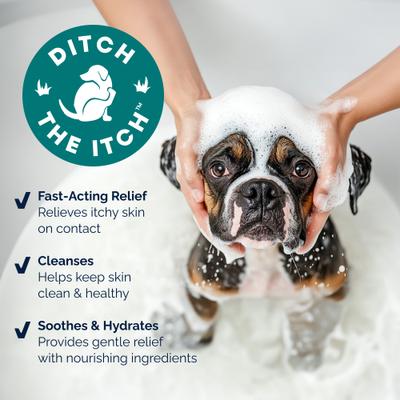 Dermabliss Advanced Vet Strength Allergy & Itch Relief Anti-Itch Cat & Dog Shampoo, 16-fl oz bottle