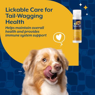 NaturVet, Multi-Vitamin Immunity Lickable, multivitamínico líquido para perros, sabor mantequilla de cacahuate, 189 ml