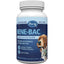 PetAg, Bene-Bac Plus Pet Powder, 7 Probiotics + FOS, para Perros y Gatos, 127 / 454 g.