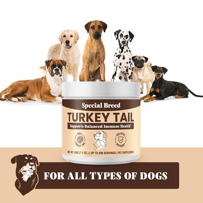 Turkey Tail Mushroom Flavored Powder Canine Immune Support Supplement for Dogs & Cats, 7.1-oz jar