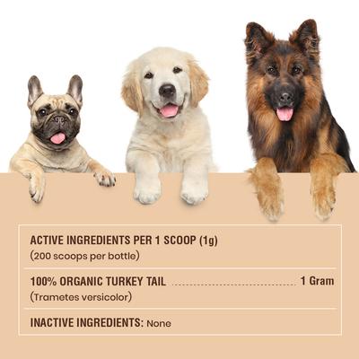 Turkey Tail Mushroom Flavored Powder Canine Immune Support Supplement for Dogs & Cats, 7.1-oz jar