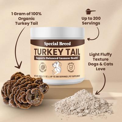 Turkey Tail Mushroom Flavored Powder Canine Immune Support Supplement for Dogs & Cats, 7.1-oz jar