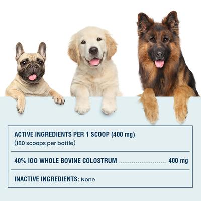 40% IgG Grass Fed Colostrum Powder Immune Support Supplement for Dogs, 2.5-oz jar