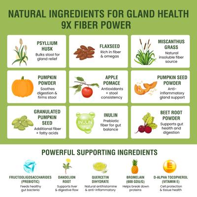 Anal Gland Relief Fiber Powder Digestive Aid Supplement for Dogs, 5.71-oz jar, 60 scoops