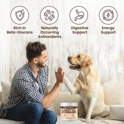 Turkey Tail Mushroom Flavored Powder Canine Immune Support Supplement for Dogs & Cats, 7.1-oz jar