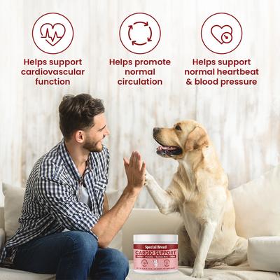 Cardio Support Powder Heart Supplement for Dogs, 6.28-oz jar