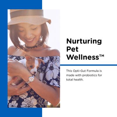 Powder Milk Supplement for Dogs, 12-oz