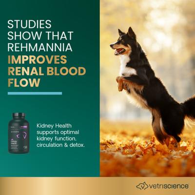 Renal Essentials Kidney Health Smoke Flavored Chewable Tablets Supplement for Dogs, 60 count