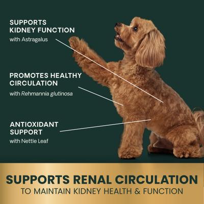 Renal Essentials Kidney Health Smoke Flavored Chewable Tablets Supplement for Dogs, 60 count