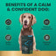 Composure Calm & Confident Clinically Tested Peanut Butter Flavored Chews Calming & Anxiety Supplement for Dogs, 120 count