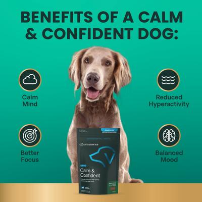 Composure Calm & Confident Clinically Tested Peanut Butter Flavored Chews Calming & Anxiety Supplement for Dogs, 120 count
