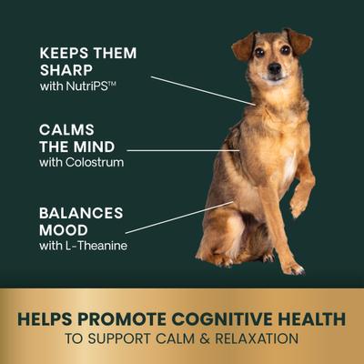 Golden Years Senior Calm & Confident Chicken Flavored Chews with Colostrum Calming & Brain Health Supplement for Senior Dogs, 60 count