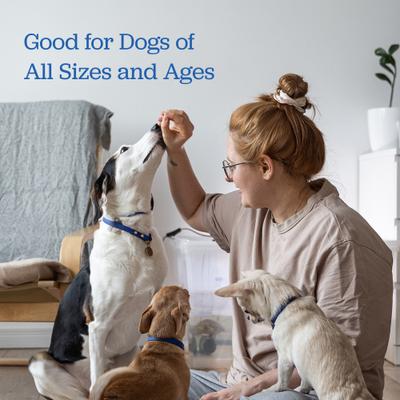 Premios para perros de cecina con alto contenido proteico de caldo de pollo y hueso, bolsa de 10 oz