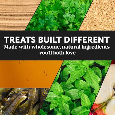 Dental Health Fresh Sticks Mint Plaque Off Dental & Teeth Cleaning Dog Dental Chews, 16 count