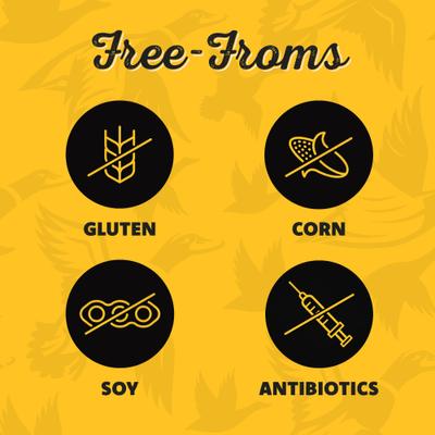 Duck Jerky Dog Treats, 1-lb bag