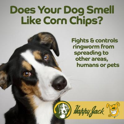 Xylecide Itch Relief Dog Shampoo, 12-fl oz bottle