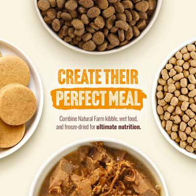 Adult Grain-Free 95% Animal Ingredients Chicken Recipe Canned Wet Dog Food, 12-oz can, case of 12