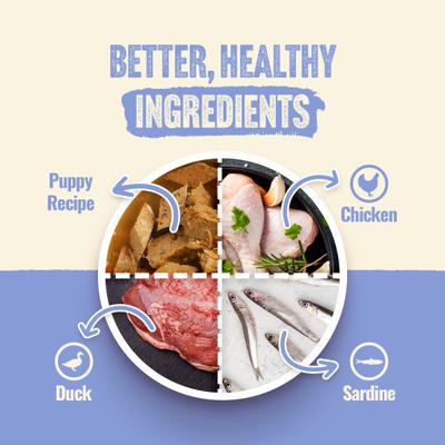 Adult Grain-Free 95% Animal Ingredients Chicken Recipe Canned Wet Puppy Food, 12-oz can, case of 12