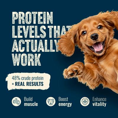 Fresh Salmon Recipe with Collagen Dry Dog Food, 22.5-lb bag