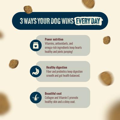 Fresh Salmon Recipe with Collagen Dry Dog Food, 22.5-lb bag